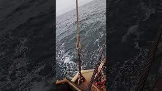 HALF TON TUNAS!! GO NUTS! #SHORTS #BLUEFINTUNA #TUNA #FISHING #OCEAN #viralvideo