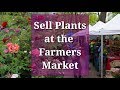 Sell Plants at the Farmers Market