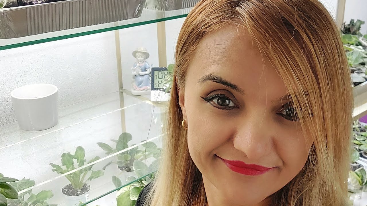 MENEKŞE BAKIMI / AFRİKA MENEKŞESİ / MENEKŞE ÇOĞALTMA  / ÇİÇEK COŞTURAN  / ÇİÇEK BAKIMI / CANLI ÇİÇEK