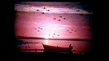 boards of canada - simp.mp3 (reversed web loop)