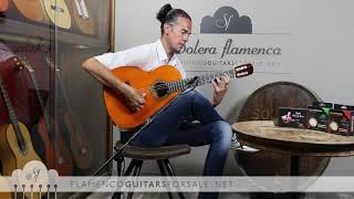 Hermanos Conde 1975 2 flamenco guitar for sale played by Alberto Fernndez