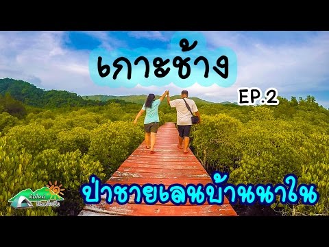 กางเต็นท์เกาะช้าง  เที่ยวป่าชายเลนบ้านนาใน อ่าวสลักเพชร - เกาะช้าง EP2 l มือใหม่หัดแค้มปิ้ง