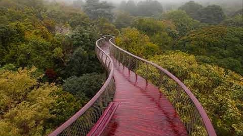 القارئ ناصر القطامي  | ❤️|سورة الأحقاف كاملة ||Surah Al-Ahqaf ||Nasser Al Qatami