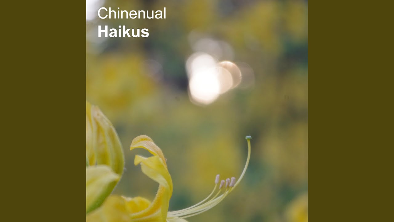 Watch Setting Sun Returns on YouTube Watch Setting Sun Returns on YouTube