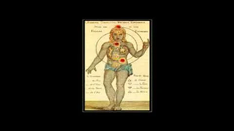 Scott Mandelker PhD: The Law of One, Session 15 (3)