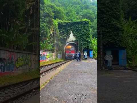 Заброшенная ж/д станция Псырцха в Новом Афоне. Поезд МОСКВА - СУХУМ 🚆#абхазия #абхазияновыйафон