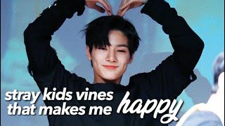 stray kids vines that makes me happy