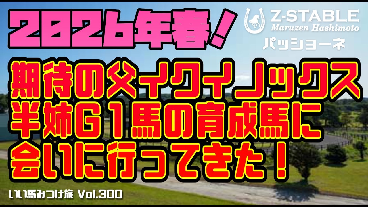 競馬・馬主】2026年春期待の父イクイノックス・半姉G I馬の育成馬に