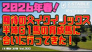 【競馬・馬主】2026年春期待の父イクイノックス・半姉G I馬の育成馬に会いに行ってきた‼️（Vol.300）
