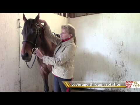 What Is Eggbutt Snaffle Bits With Hooks Youtube