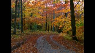 Video thumbnail of "IECE Los Tres Jovenes Hebreos.wmv"