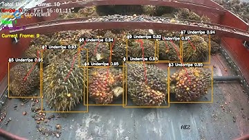 Gloviewer AI Grading System