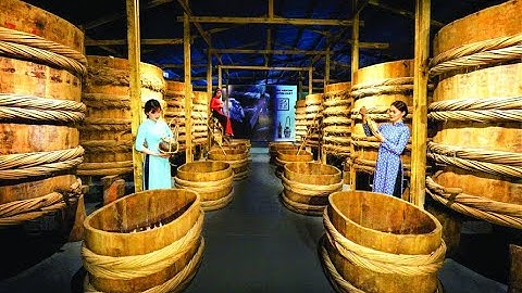 Processing MILLIONS of Fish to Make Fish Oil, Fish Meal Fish Sauce- Fish Oil  Process at the Factory