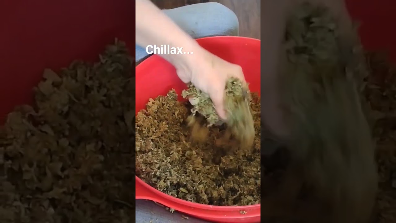 Chillax with a big bowl of trim 🌱 