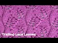 Trailing Lace Leaves | Knitting Stitch Pattern For Sweater