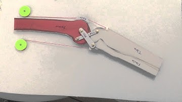 Biomechanical Model of the Knee