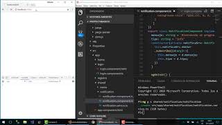 18. Barra de Notificaciones con tiempo en Angular 5