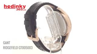 Gant Ridgefield GT005003