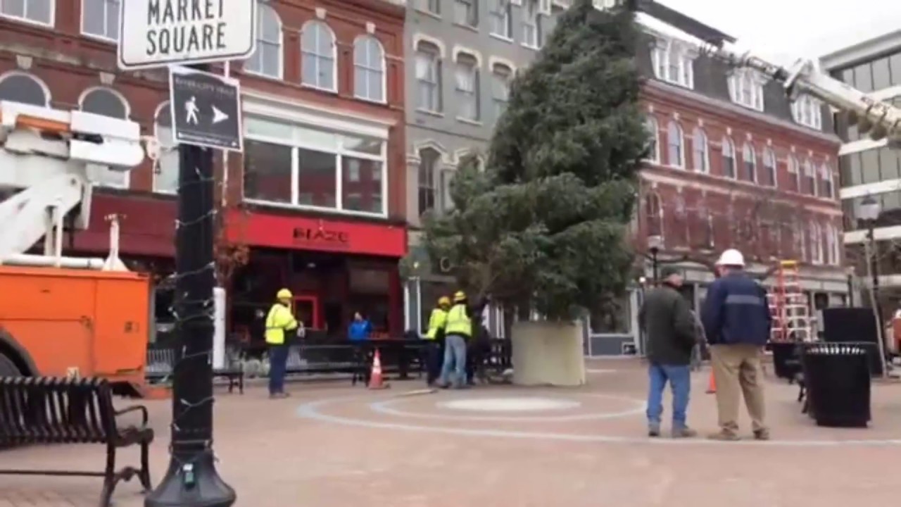 Putting Up Bangor's Christmas Tree 2016 YouTube