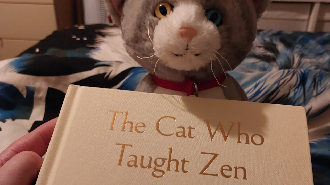 Plushie Haven Storytime - The Cat Who Taught Zen - YouTube