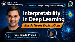IDL Lect1A  Why AI Needs Explanations | Interpretability in Deep Learning