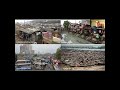 Drivers and Implications of Biodiversity in Cities with Dr. Elsa Anderson