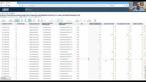 Searching County Business Patterns