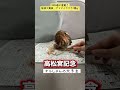 ウインカーネリアン3着🎯#競馬 #高松宮記念 #shorts