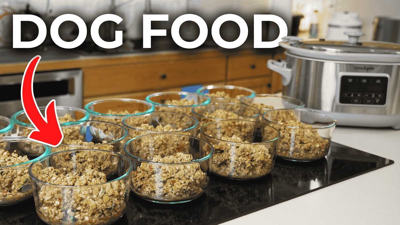 How I Make 14 Dog Meals in 1 Hour