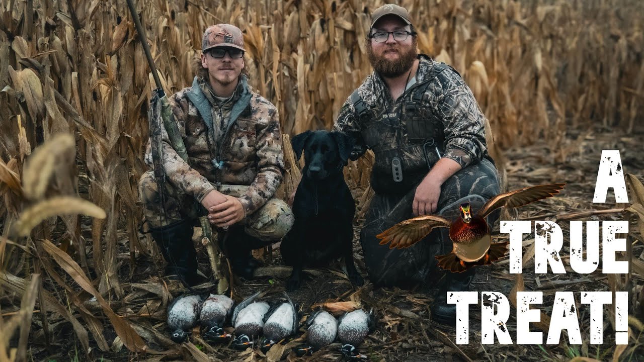 A TRUE TREAT! NEBRASKA WOOD DUCKS IN THE CREEK! (2 MAN LIMIT