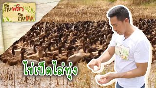 ไข่เป็ดไล่ทุ่ง I ถึงพริกถึงขิง 06-07-18