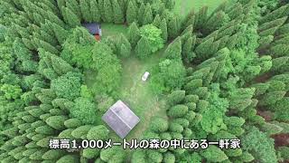森の中の一軒家 Youtube