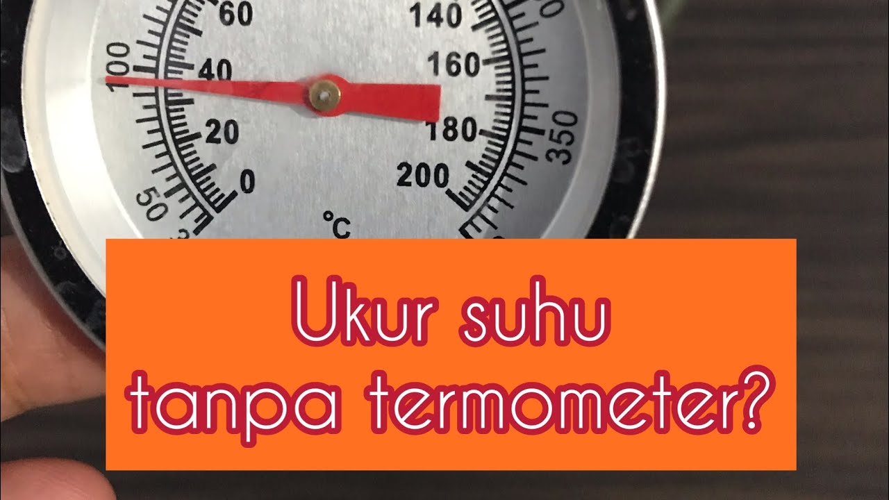 Suhu Ideal Air Seduh Teh Hijau untuk Rasa Terbaik yang Harus Anda Coba Suhu Ideal Air Seduh Teh Hijau untuk Rasa Terbaik yang Harus Anda Coba