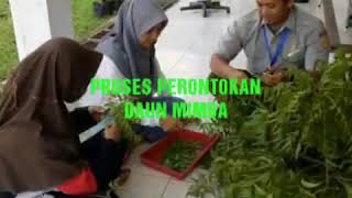 Download Lagu Pembuatan pestisida nabati ekstrak daun nimbah di BBPOPT MP3 Download Lagu Pembuatan pestisida nabati ekstrak daun nimbah di BBPOPT MP3