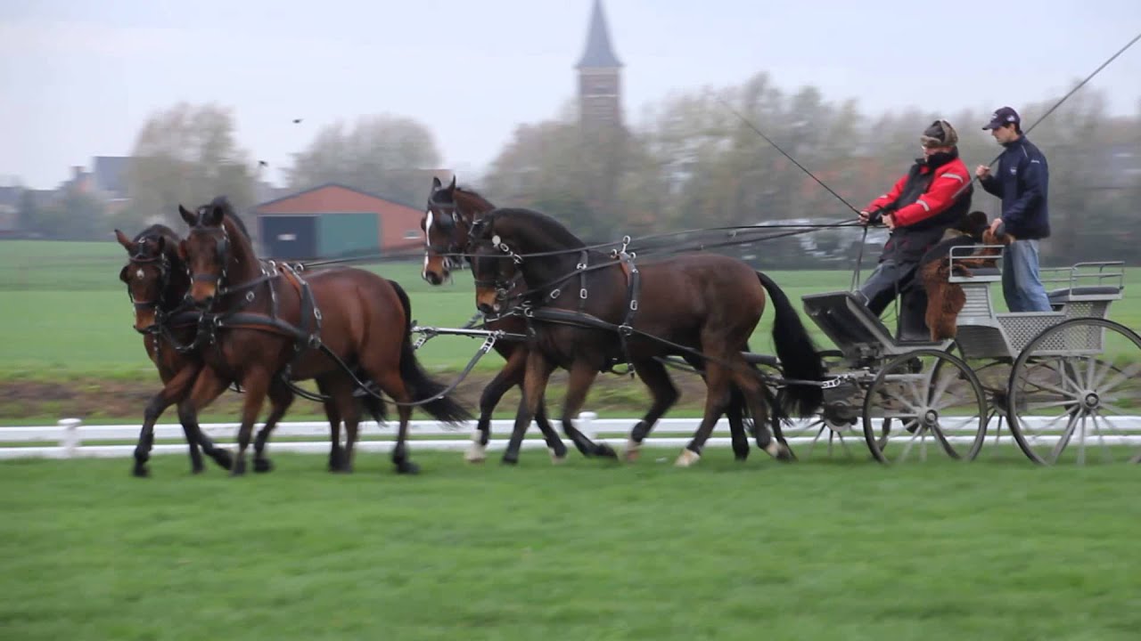 Training November 2014 - new team Félix Brasseur -