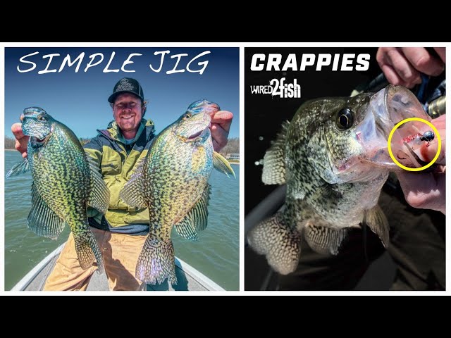 How to Catch Crappies on Jigs Around Trees 
