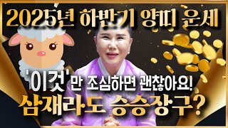 ✨2025년 대박나는 양띠운세✨삼재라고 해서 나쁘지 않아요~! 삼재라도 '이것' 만 조심하면 승승장구  수 …