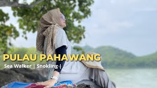 Pulau Pahawang Lampung | Sea Walker dan Snokling