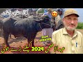 Kala mandi peshawar new updates 1452024  joti mandi kala  peshawar mandi  khyber social tv