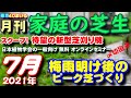 7月の芝生の手入れ 月刊 家庭の芝生 ７月号 ピーク芝づくり特集！梅雨明け後にやること 芝活2021　まだ未発売の新型芝刈り機の話題 ほか最新事情多数