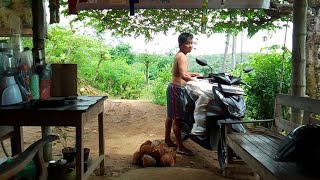 Download Lagu PULANG DARI TEMPAT MERTUA  MP3