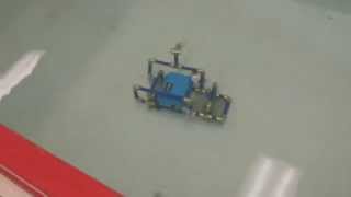 Autonomous Seaperch