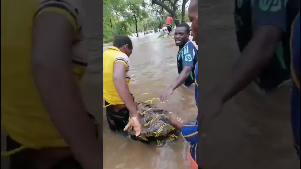 Cheias em Moçambique 2026: População Usa Cordas para Sobreviver