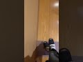 トイレで失敗 #shorts