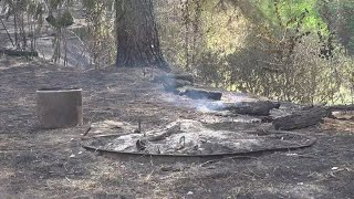 State, county officials walk through wildfire path of destruction in Jasper County