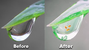 Aquarium Effect inside the water drop - Photoshop Tutorial | Photoshop Manipulation
