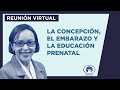 La concepción, el embarazo y la educación prenatal - Reunión Virtual 26/01/2021