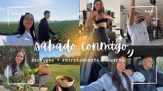 Un SÁBADO con nosotros! entrenamiento en nuestro HOME GYM 🏋🏻‍♀️ + comida VEGANA de la HUERTA 🌱 by Emevegana - María García 432 views 2 months ago 9 minutes, 51 seconds