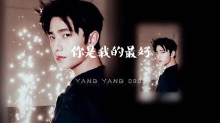 杨洋2023生日应援曲【你是我的最好】