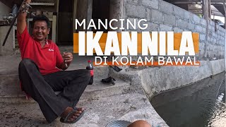 MANCING IKAN NILA DI KOLAM MASTERAN BAWAL